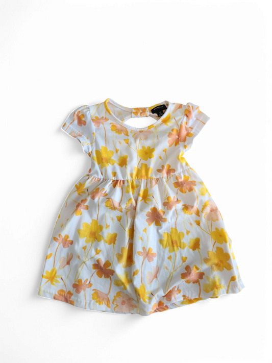 Picapino 2t dress